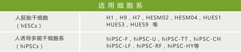 产品细节图片1