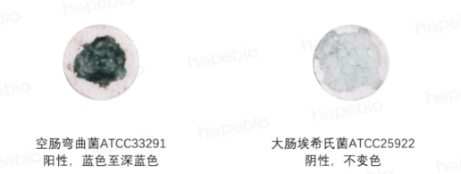 吲哚乙酸酯纸片