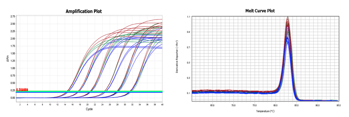 two-step RT-qPCR amplification