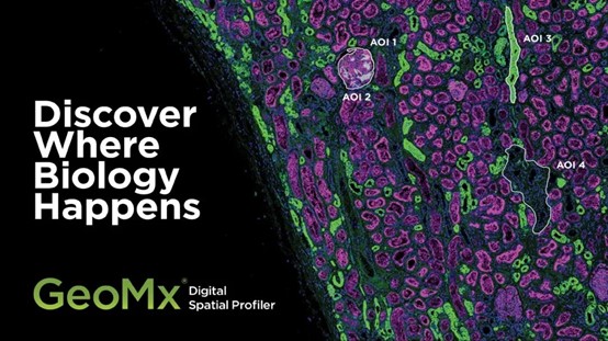 官宣：乐备实正式发布空间蛋白组创新研究者助力计划