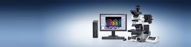 日本奥林巴斯Olympus cellSens 成像软件