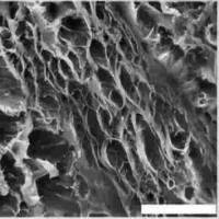 HA-PBA HA透明质酸接枝3-PBA硼酸 ROS响应性水凝胶
