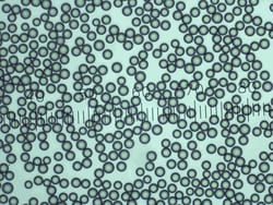 Dri-Cal™ 微粒尺寸标准品