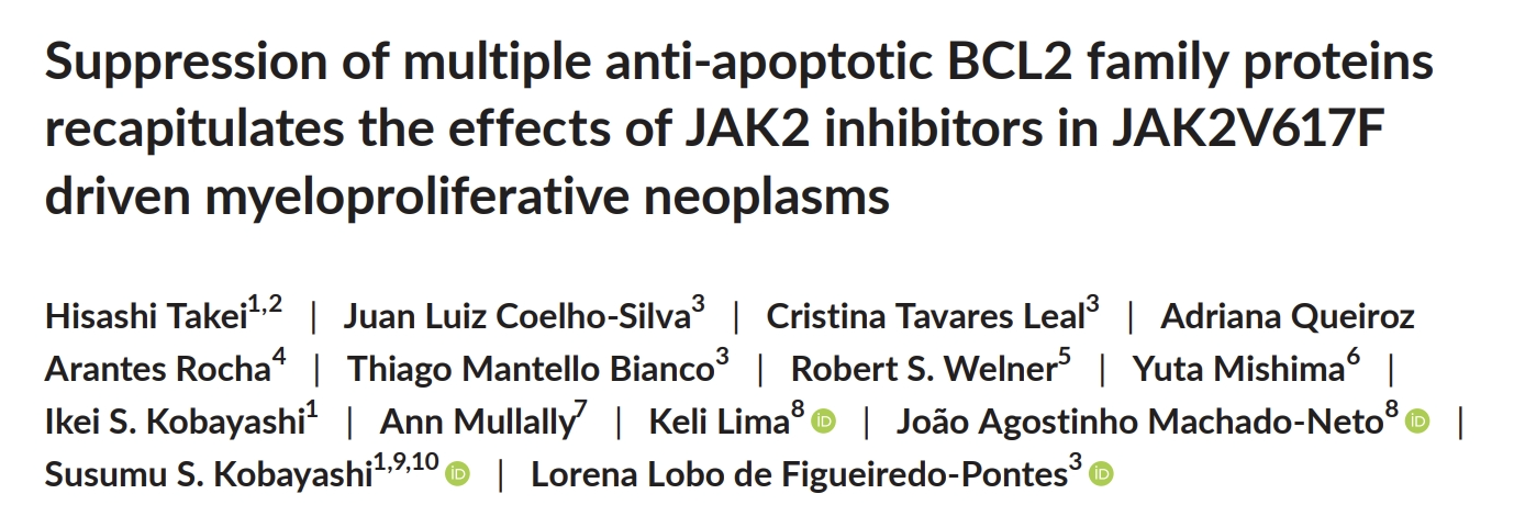 【22期】TargetMol明星分子——​Venetoclax