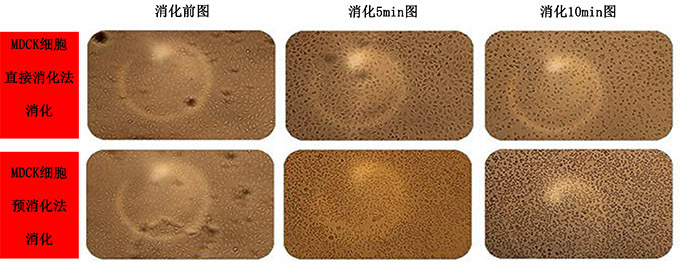 直接与预消化对比 pdf