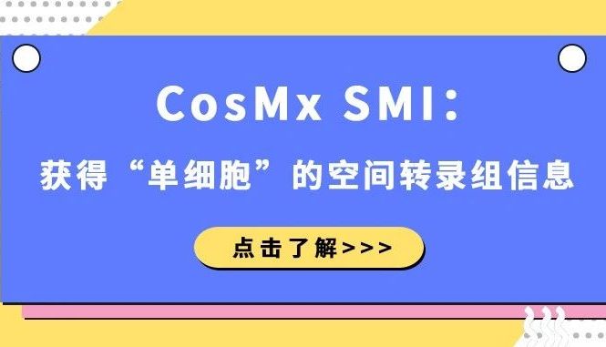 CosMx SMI：获得“单细胞”的空间转录组信息