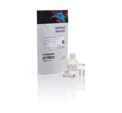 Qubit™ dsDNA HS Assay Kit