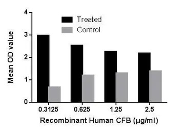 Human Factor B (Ba fragment) p