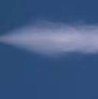 小鼠鼻腔给药器