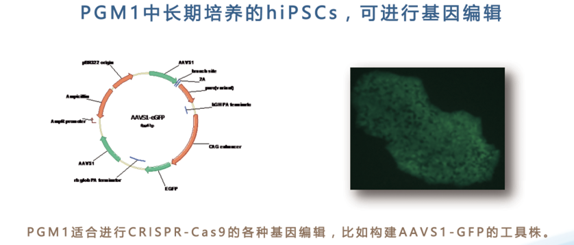 产品细节图片4