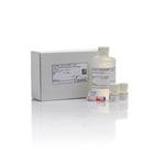 Qubit™ dsDNA HS Assay Kit