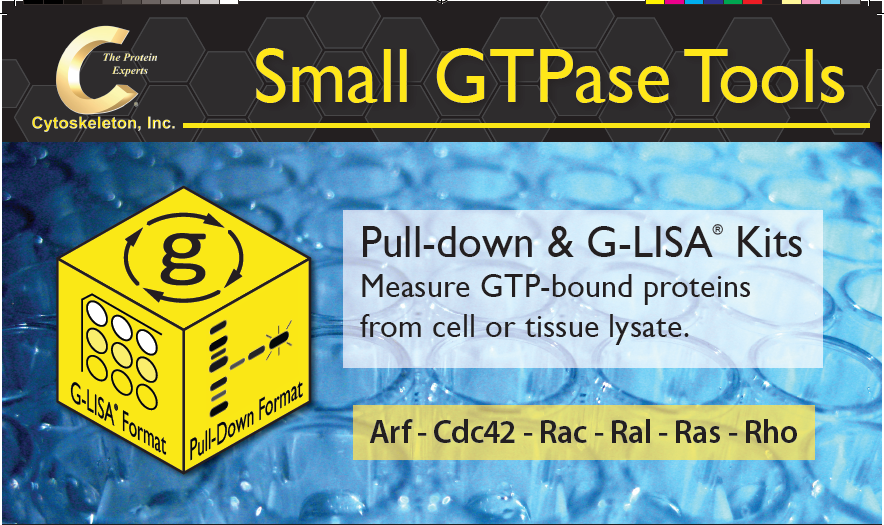 RhoA G-LISA活化检测试剂盒