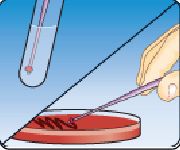 MS0101-how to recovery two-180