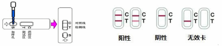 非洲猪瘟抗原（ASF Ag）快速检测卡