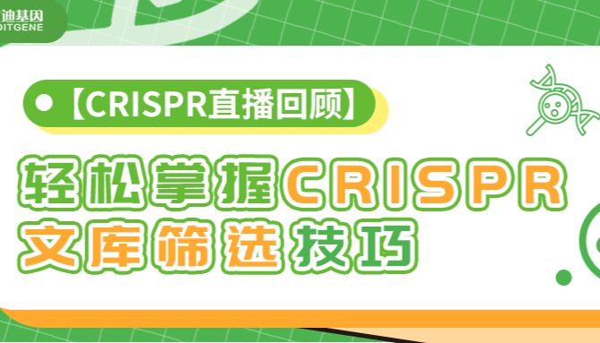 【直播回顾】带你轻松掌握CRISPR文库筛选技巧