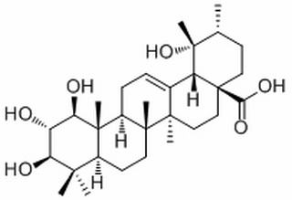 1,2,3,19-Tetrahydroxy-12-ursen-28-oic acid