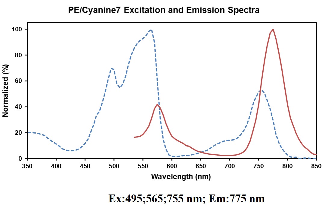 PE/Cyanine7 Rat IgG2a, κ Isoty