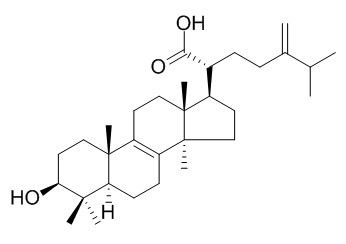 齿孔酸; 齿孔菌酸