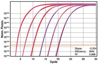 1546410023780790.jpg KAPA文库定量试剂盒KK4824/KK4827