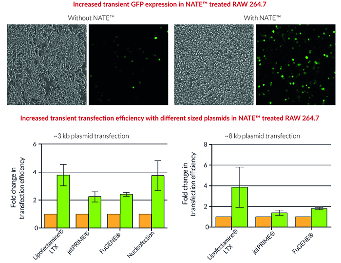 人单核细胞转染试剂,鼠巨噬细胞转染试剂增强剂NATE