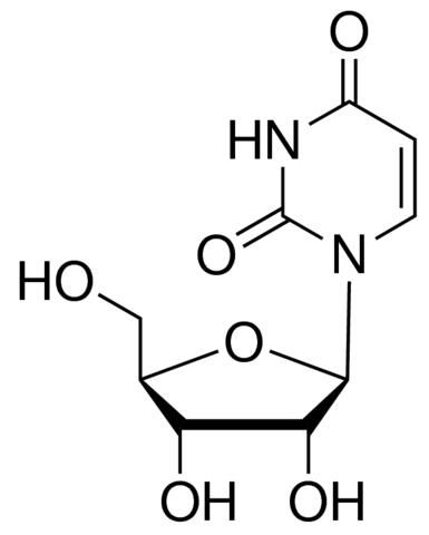 尿嘧啶核苷(≥99%, Reagent grade)