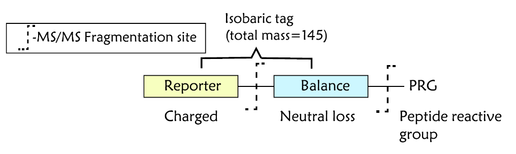 标记磷酸化蛋白质组学定量(Pho-iTRAQ)