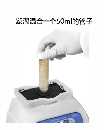 拉脱维亚BIOSAN MPS-1高速多板摇床 BS-01