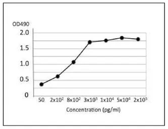 Salmonella enteritidis LPS ant