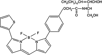 Golgi-Tracker Red (高尔基体红色荧光探针)