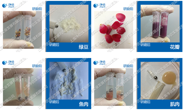 多样品组织研磨仪/多样品快速研磨机