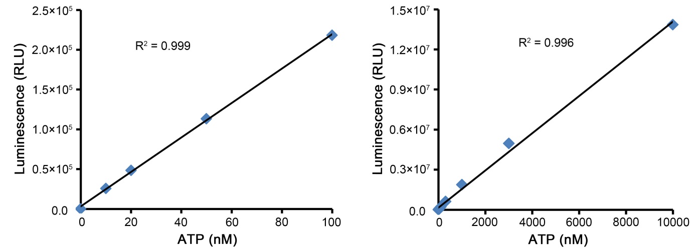 CellTiter-Lumi™ Plus发光法细胞活力检测试