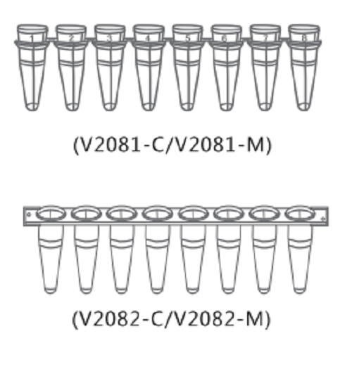 200ul,pp管透明荧光定量pcr8联管无菌无酶