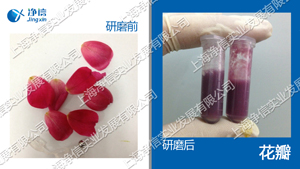 组织研磨仪|高通量组织研磨机Tissuelyser-192L