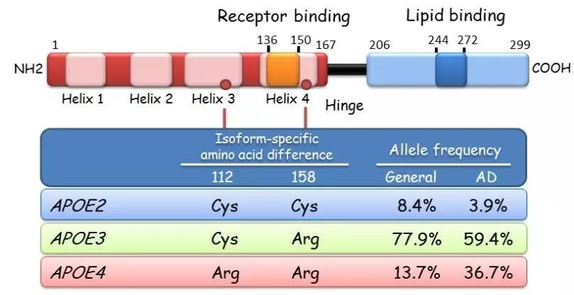 微信图片_20191120164446.jpg 微信图片_20191120164446.jpg
