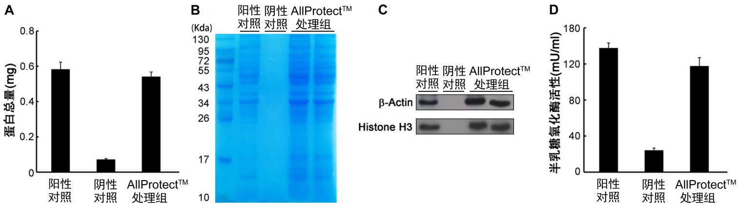 AllProtect™动物组织核酸、蛋白稳定保存液