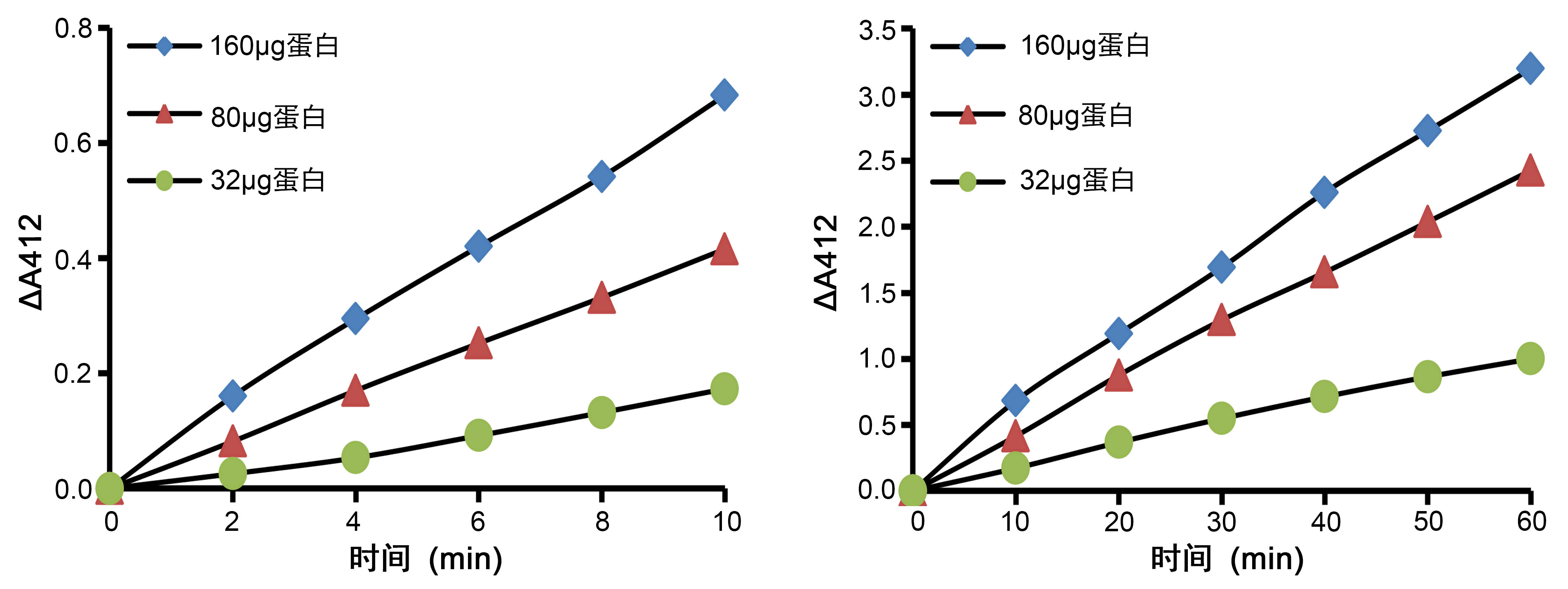 谷胱甘肽还原酶检测试剂盒