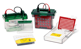 Criterion 预制胶系统.gif