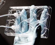 201582192368.png 201582192368.png