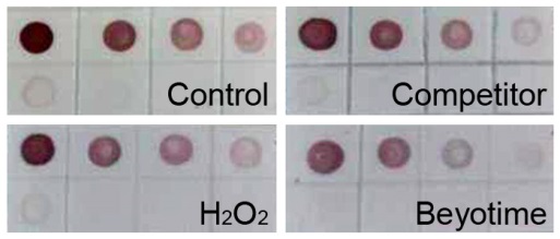 内源性过氧化物酶封闭液