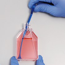 2414799614792674.png 5.png