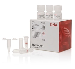 PureLink™ Genomic Plant DNA Purification Kit
