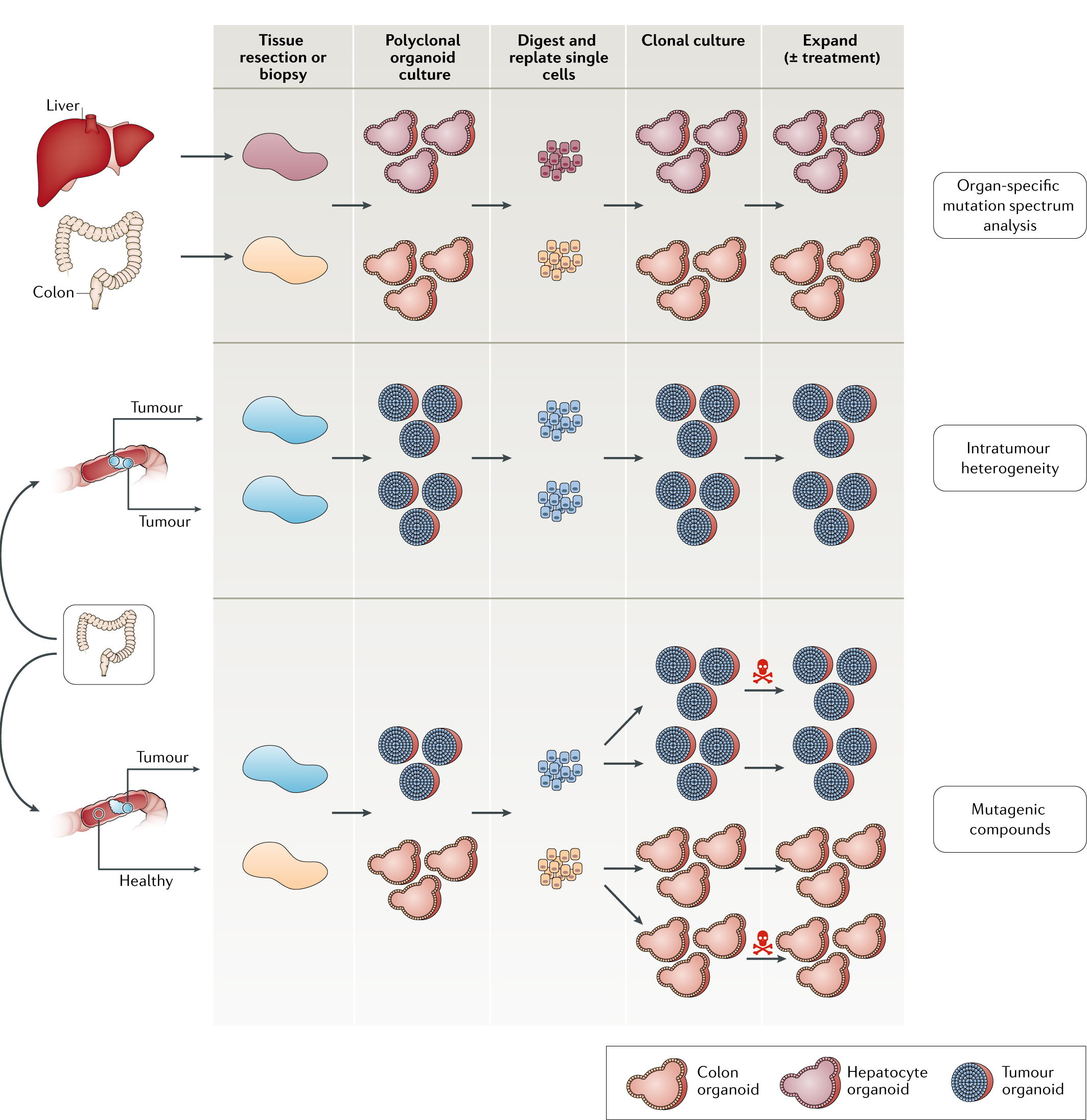 产品细节图片13