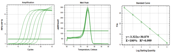 茎环法miRNA RT-qPCR试剂盒：Stem-loop 