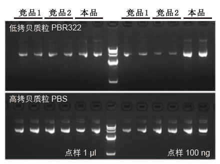 增强型无内毒素质粒大提试剂盒