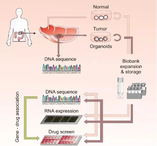 产品细节图片17