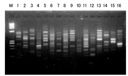 2814696923208963.jpg 3.jpg