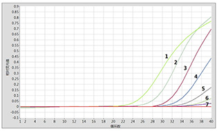 冻干非洲猪瘟实时荧光PCR检测试剂盒