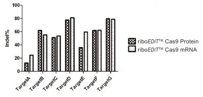 riboEDIT Cas9 mRNA (0.5ug/ul),