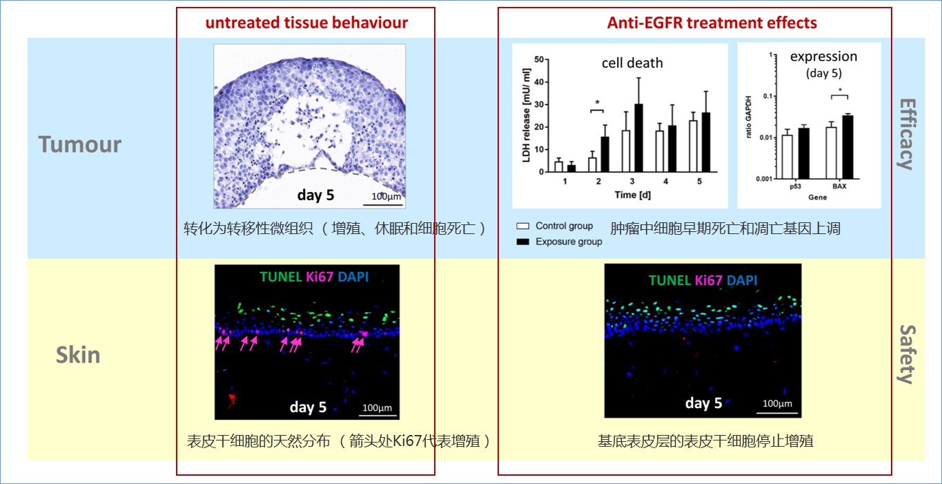 产品细节图片46