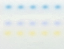 GelPilot Loading Dye.